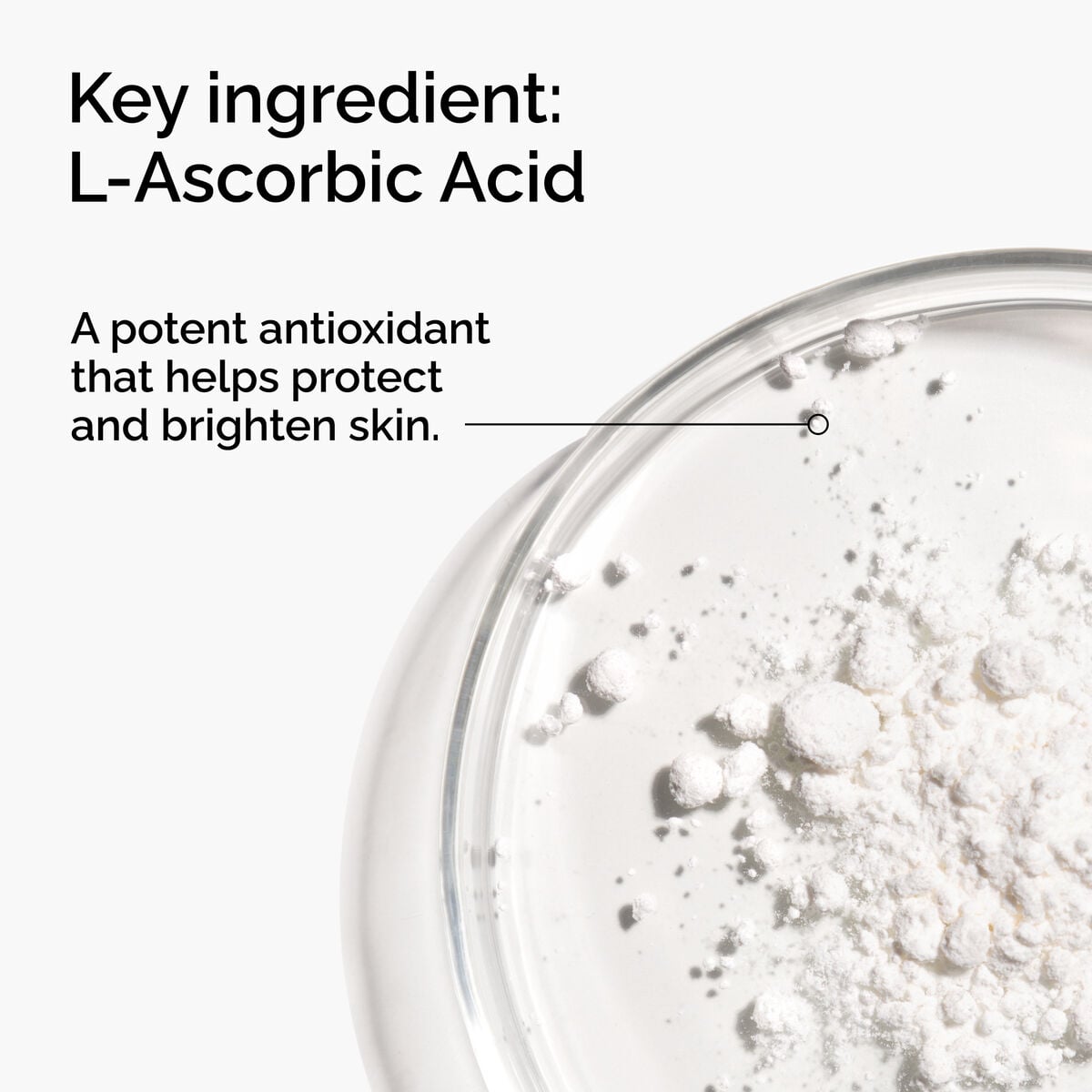 100-l-ascorbic-acid-powder-n3 FY25-D41247-ORD-Web-PDP-100-LAscb-Pwd-1x1-EN-2a.jpg