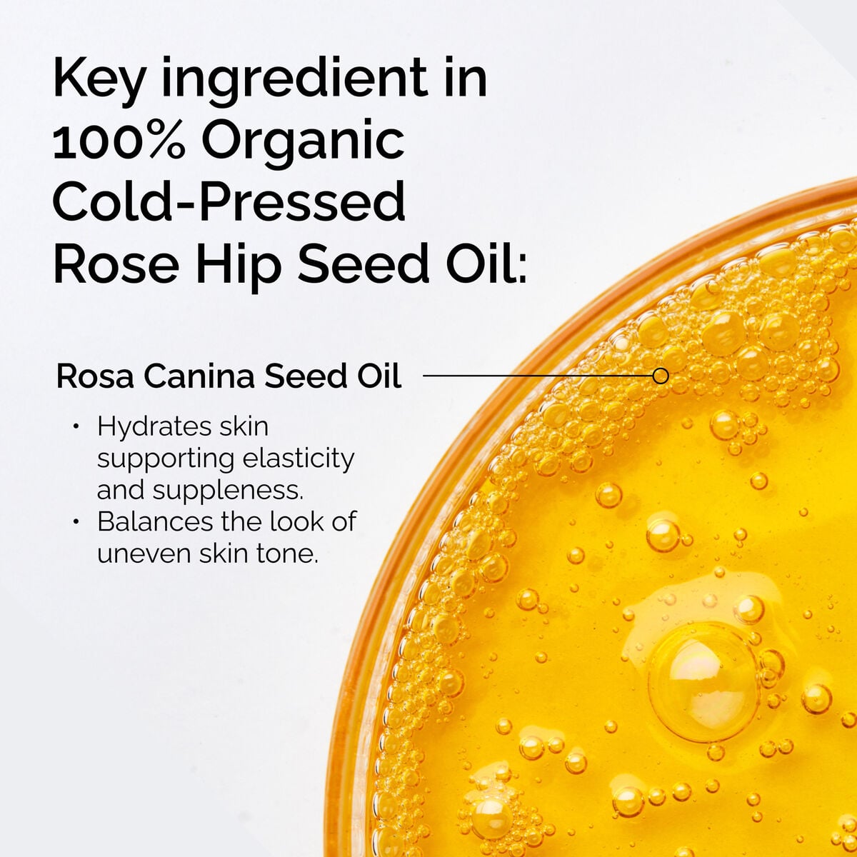 100-organic-cold-pressed-rose-hip-seed-oil-c3 FY25-D41247-ORD-Web-PDP-100-Rose-Hip-Oil-1x1-EN-2.jpg