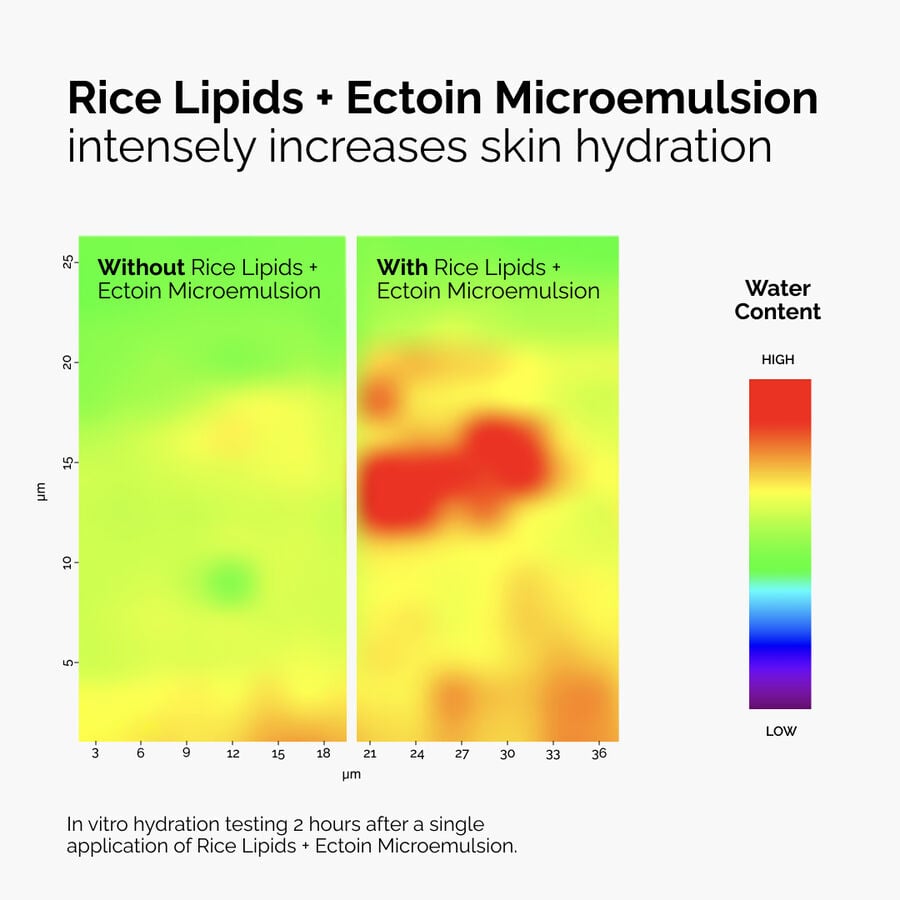 rice-lipids-ectoin-microemulsion-c3 ord-rice-lipids-ectoin-microemulsion-thermal-before-after.jpg